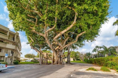 Great central location, walking distance to beach, as well as