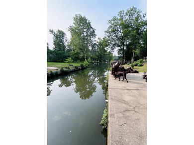 Affordable 3 or 4 bedroom home on Lake Catherine with permitted