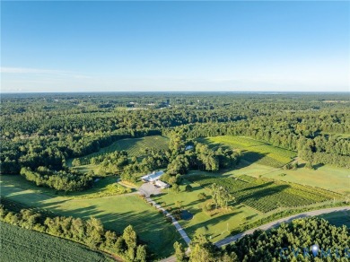 Good Luck Cellars, in Kilmarnock, Virginia is one of the premier