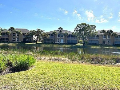 BUYER CHANGED MIND. Their loss is your gain! START YOUR SUMMER