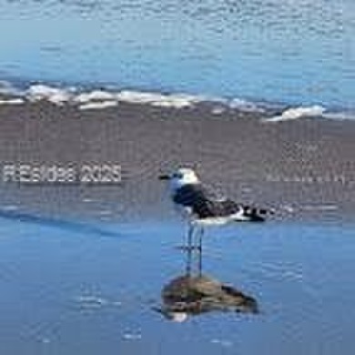 Beautiful 2nd floor villa in C building with great views &