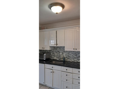 30B is a sprawling renovated apt which sits high in the sky and