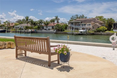Looking for a home with a panoramic view of Boca Ciega Bay? LOOK