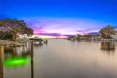 Breathtaking Waterfront Living on Iconic Brightwaters Blvd NE in