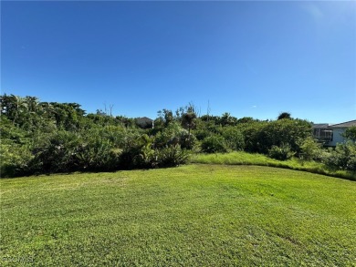 1.16 acre lush ESTATE with a 4 Bed, 3 bath pool home in the