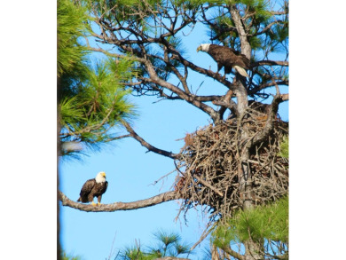 PRICE IMPROVEMENT!! Embracing the essence of coastal living