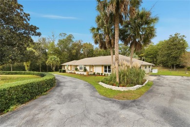 If you've been searching for a true Diamond in the Rough