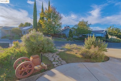 Welcome to 69 Mesa De Oro Circle -- a beautifully maintained