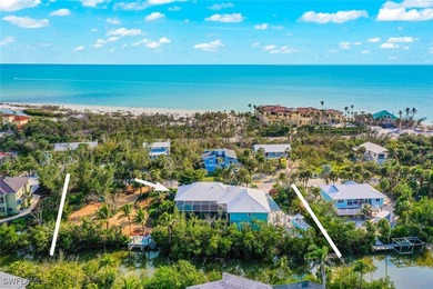 900 FEET TO THE BEACH! DIRECT GULF ACCESS CANAL! 3 LOTS! LARGE