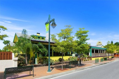 Experience Unparalleled Bayfront Living at Dolphin Bay on Siesta