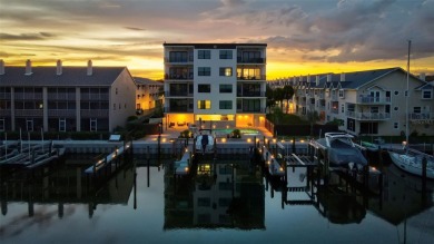 Welcome to Quiet Cove, an exclusive coastal enclave where