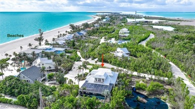 Welcome to the Palm & Shell. A rare opportunity to purchase an