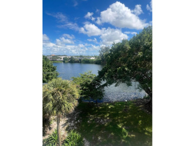 Spacious Fully Renovated 2-Bed/2-Bath Apartment with Lake View -