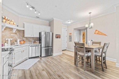 Check out this perfectly updated condo with views of the