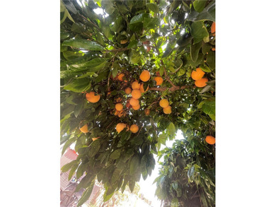 Turn-Key RCFE Investment Opportunity - 4BR/2BA Home in Prime