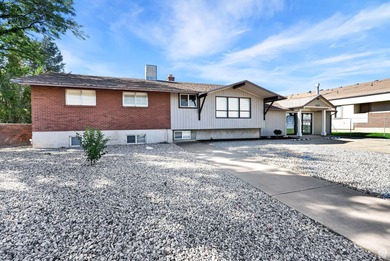 Remodeled and Move-In Ready! Zoned Urban Corridor, this property