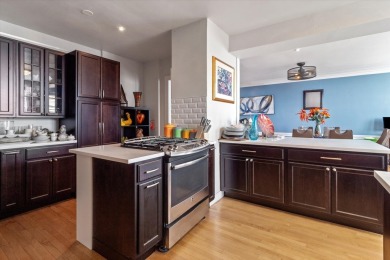 Stunning Lakefront Condo in the Heart of Hyde Park - 5555 S