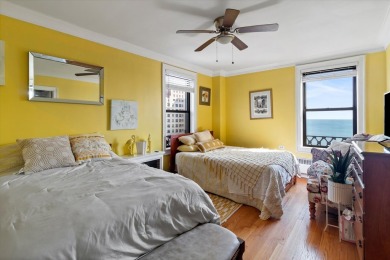 Stunning Lakefront Condo in the Heart of Hyde Park - 5555 S