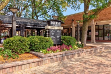 Stunning Lakefront Condo in the Heart of Hyde Park - 5555 S