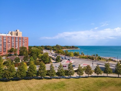 Stunning Lakefront Condo in the Heart of Hyde Park - 5555 S