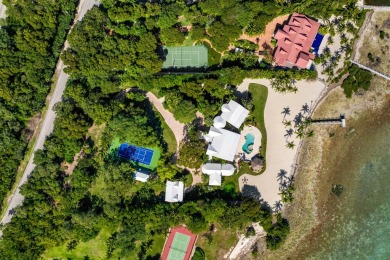 Escape to Palm Paradise, a one-of-a-kind oceanfront estate in