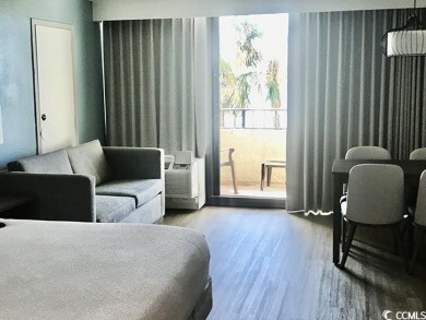 Enjoy the direct oceanfront view from your large balcony or