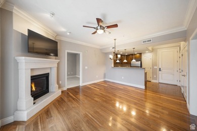 Gorgeous High-rise luxury custom-built condo with elevator