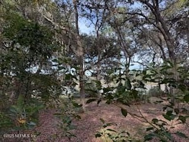 High and dry acreage, quiet natural surroundings, frontage on