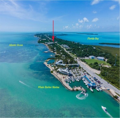 Unparalleled amenities are what seperates Beacon Reef condo