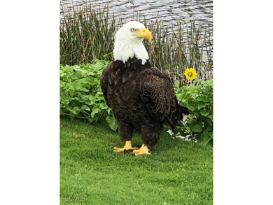 TOP FLOOR PENTHOUSE IN NEWEST CONDOMINIUM COMPLEX IN SANIBEL