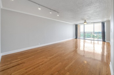 Looking for a condo with amazings views of the city under $300