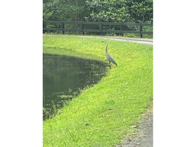 Private oasis .5 miles away from Edgefield Village Square. Once