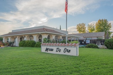 Welcome home to 69 Mesa De Oro Circle. A beautifully maintained