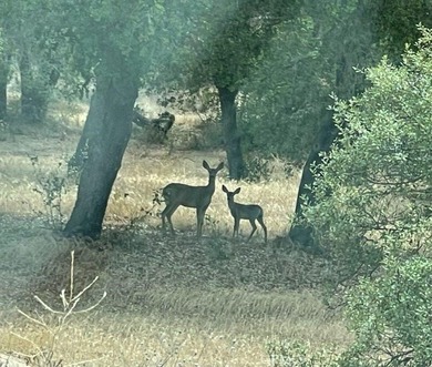 Welcome home to this Impressive Custom built estate with