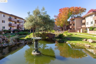 Tucked away at the end of Webster Street in the Park Webster