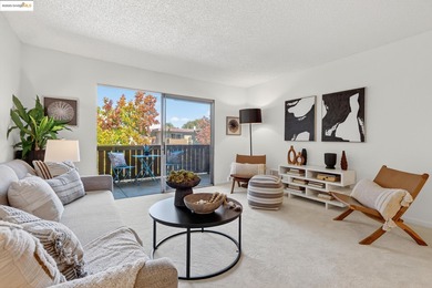 Tucked away at the end of Webster Street in the Park Webster