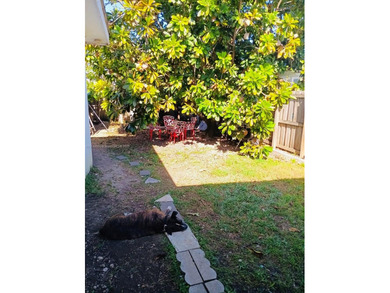 Spacious three bedrooms single family with loads of yard space