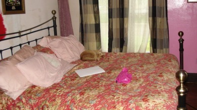 Story-and-a-half home in Albion, located close to downtown