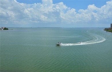 UNOBSTRUCTED VIEWS OF TAMPA BAY & THE SKYWAY BRIDGE from every