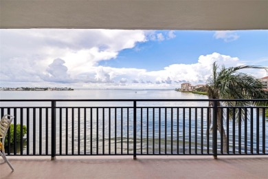 UNOBSTRUCTED VIEWS OF TAMPA BAY & THE SKYWAY BRIDGE from every