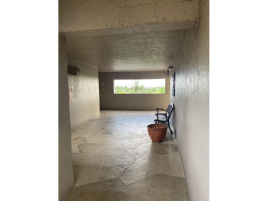 Bright and open, ready to move in two bedrooms-two baths condo