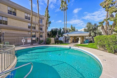 BILTMORE TERRACE PENTHOUSE a very tranquil lofty residence at