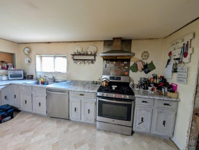 Craft Your Dream on 23.74 Acres: Farmhouse & Potential Pond!