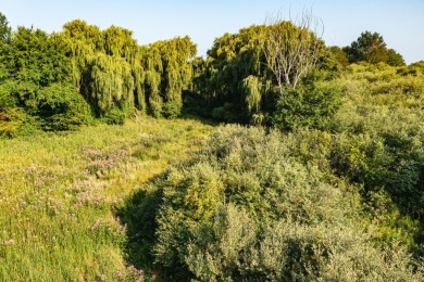 Craft Your Dream on 23.74 Acres: Farmhouse & Potential Pond!