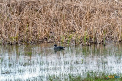Welcome to Big Dukes Ranch - A True Texas Treasure! Nestled on