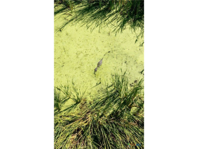 Welcome to Big Dukes Ranch - A True Texas Treasure! Nestled on