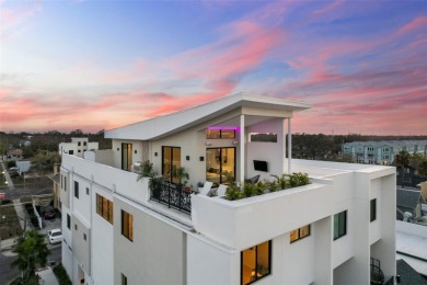 Welcome to an unparalleled urban oasis in St. Petersburg, FL