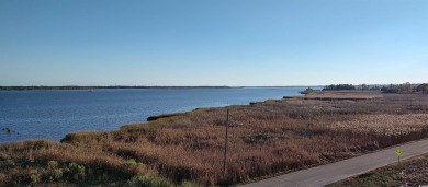 Price adjustment! WinyahBay/Intercoastal Waterway Estate! Ready