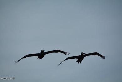 Enjoy the beautiful sunrise above the Atlantic every day!