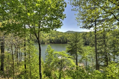 Sprawling prow front lodge-style Lake Blue Ridge retreat